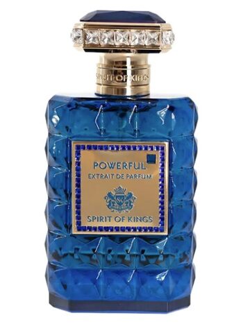 SPIRIT OF KINGS POWERFUL EXTRAIT DE PARFUM (100ML) NEW