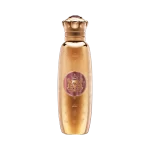 SPIRIT OF KINGS ALUDRA EDP 100ML