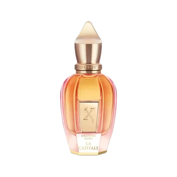 SPOTLIGHT COLLECTION