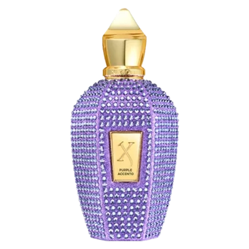 XJV PURPLE ACCENTO EDP 100ML (Limited Edition)