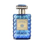 SPIRIT OF KINGS POWERFUL EXTRAIT DE PARFUM (100ML) NEW