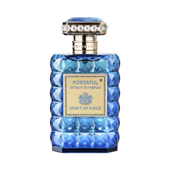 SPIRIT OF KINGS POWERFUL EXTRAIT DE PARFUM (100ML) NEW