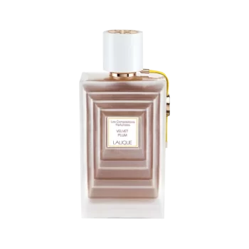LALIQUE VELVET PLUM EDP 100ML