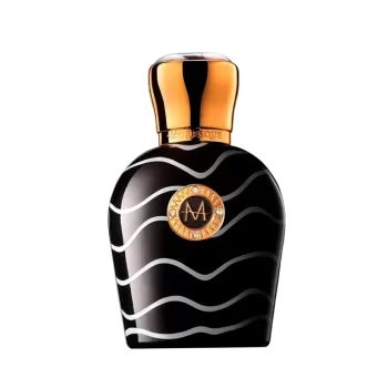 Art Collection